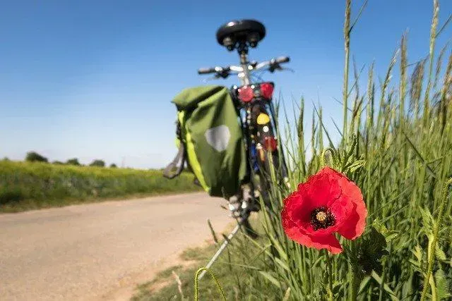 Eigenes Fahrrad-Paket - Unterwegs in Drenthe!